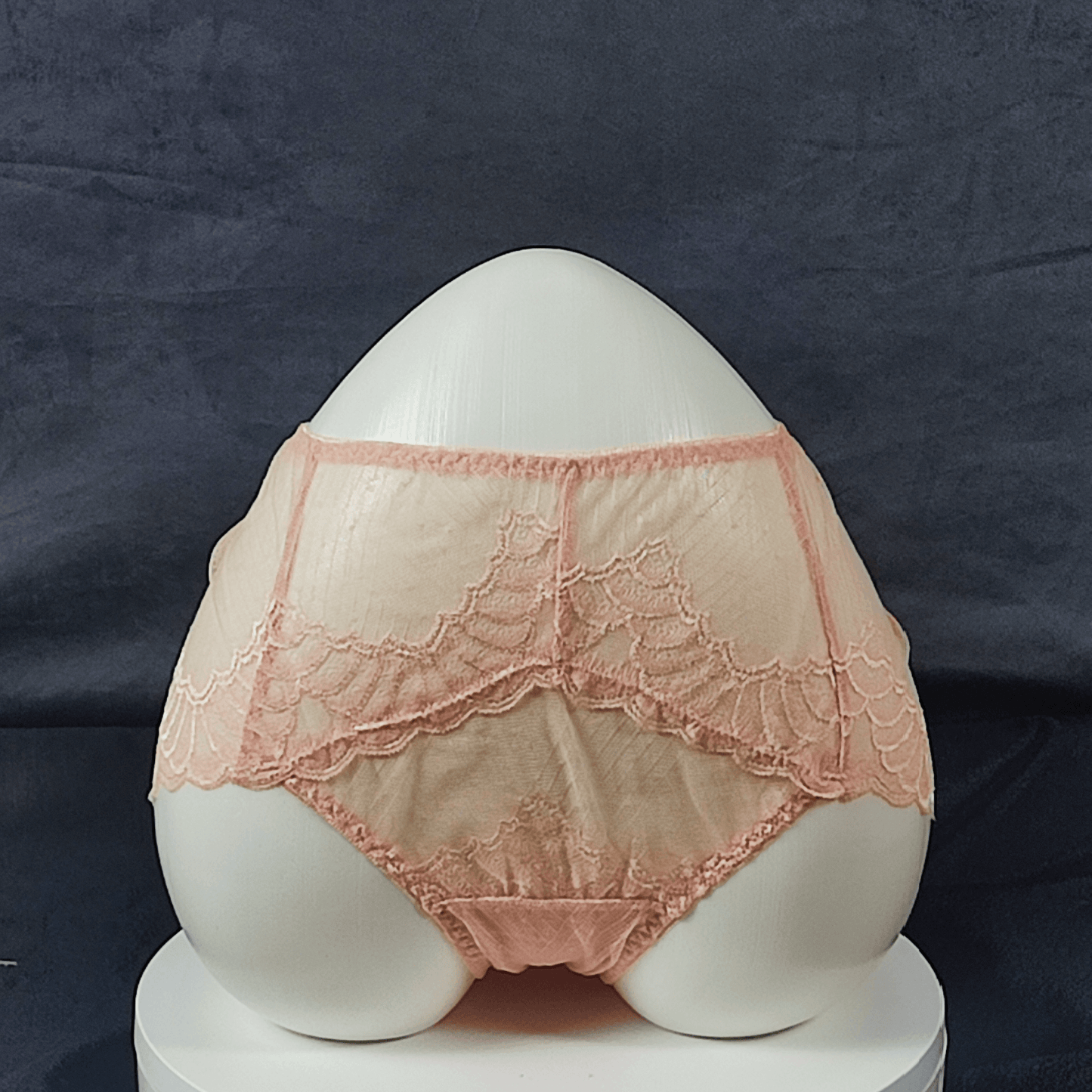 Pack of 5 - LaceWhisper Panties (Random Colors)