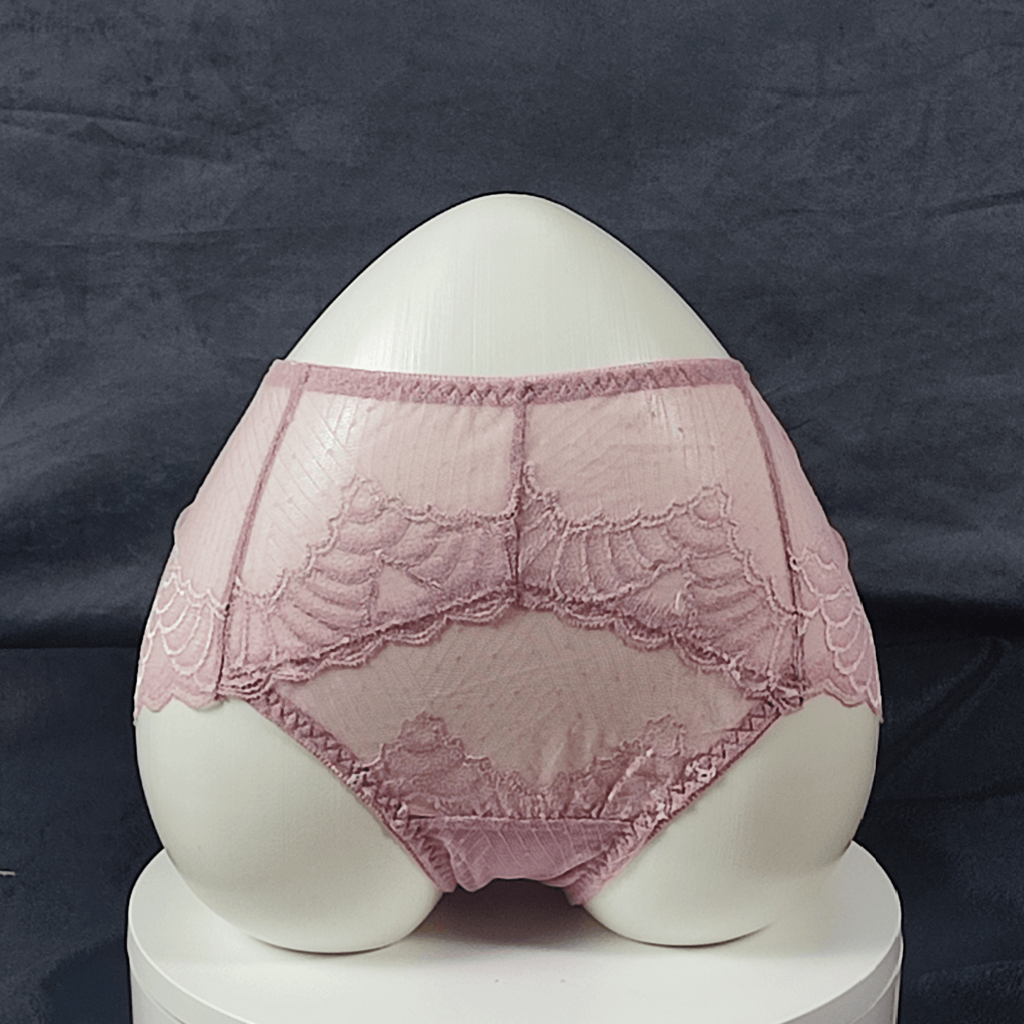 Pack of 5 - LaceWhisper Panties (Random Colors)