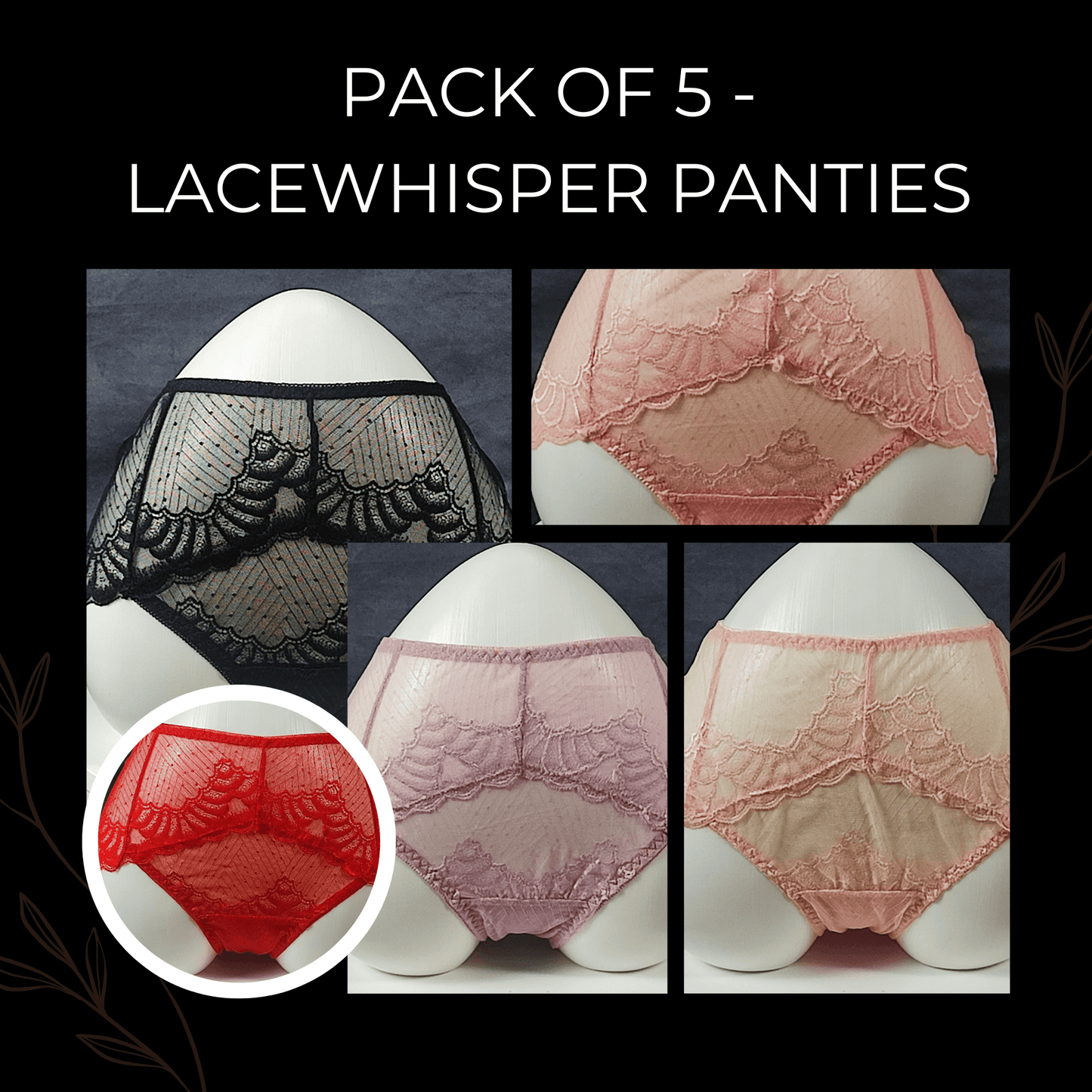 Pack of 5 - LaceWhisper Panties (Random Colors)