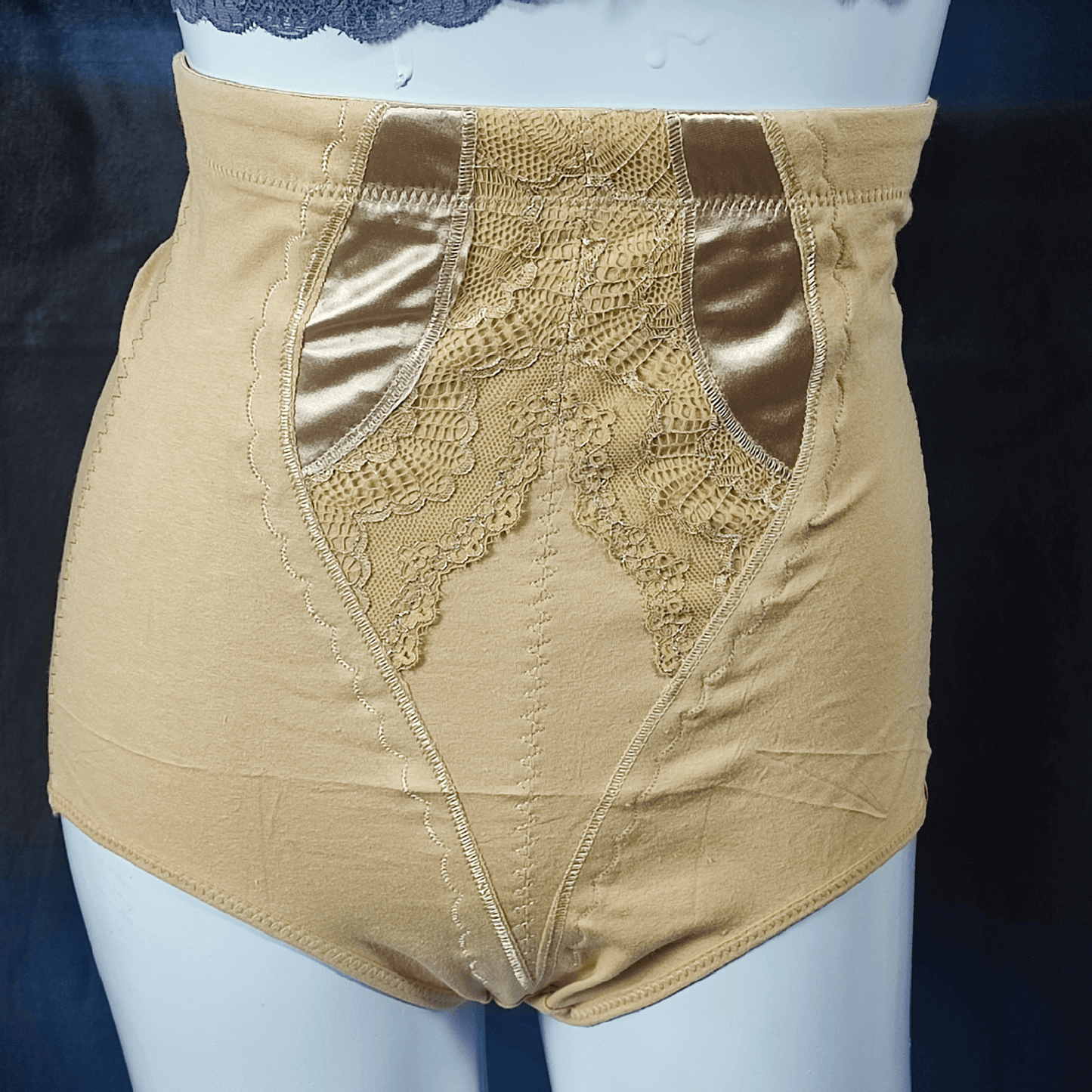 SilkEmbrace Shaping Panty - Everyday Essentials - ComfyBliss