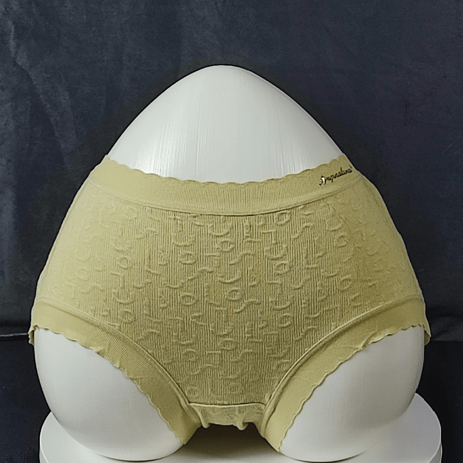 Pack of 5 - CloudEase Panties (Random Colors)