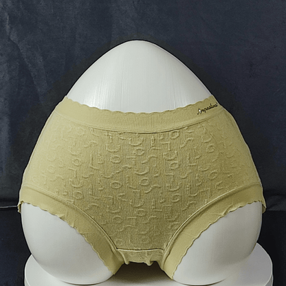 Pack of 5 - CloudEase Panties (Random Colors)