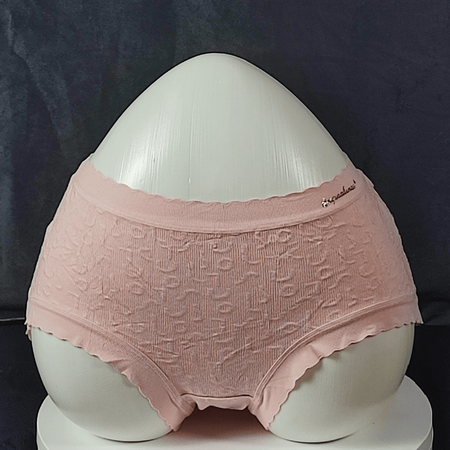 Pack of 5 - CloudEase Panties (Random Colors)