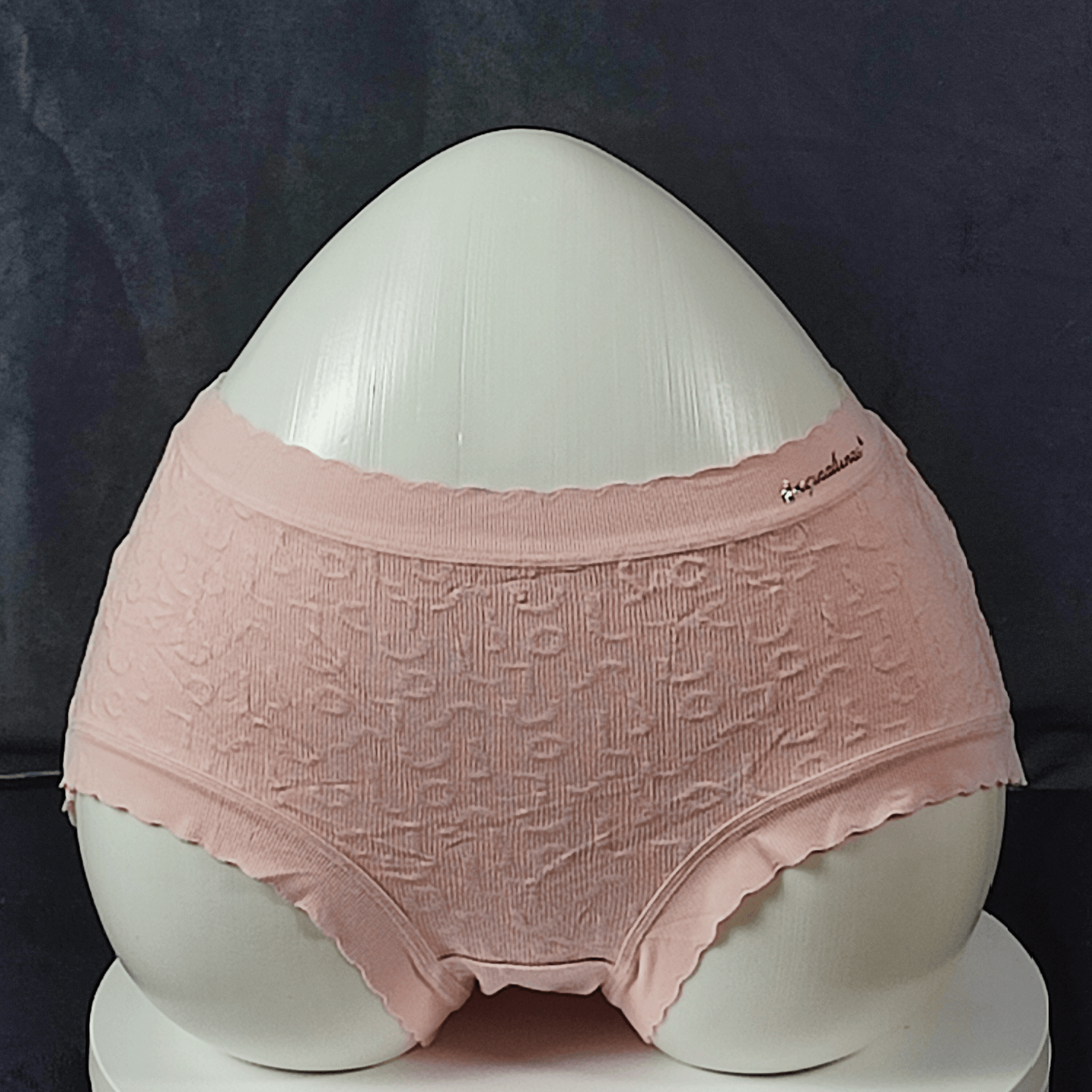 Pack of 5 - CloudEase Panties (Random Colors)