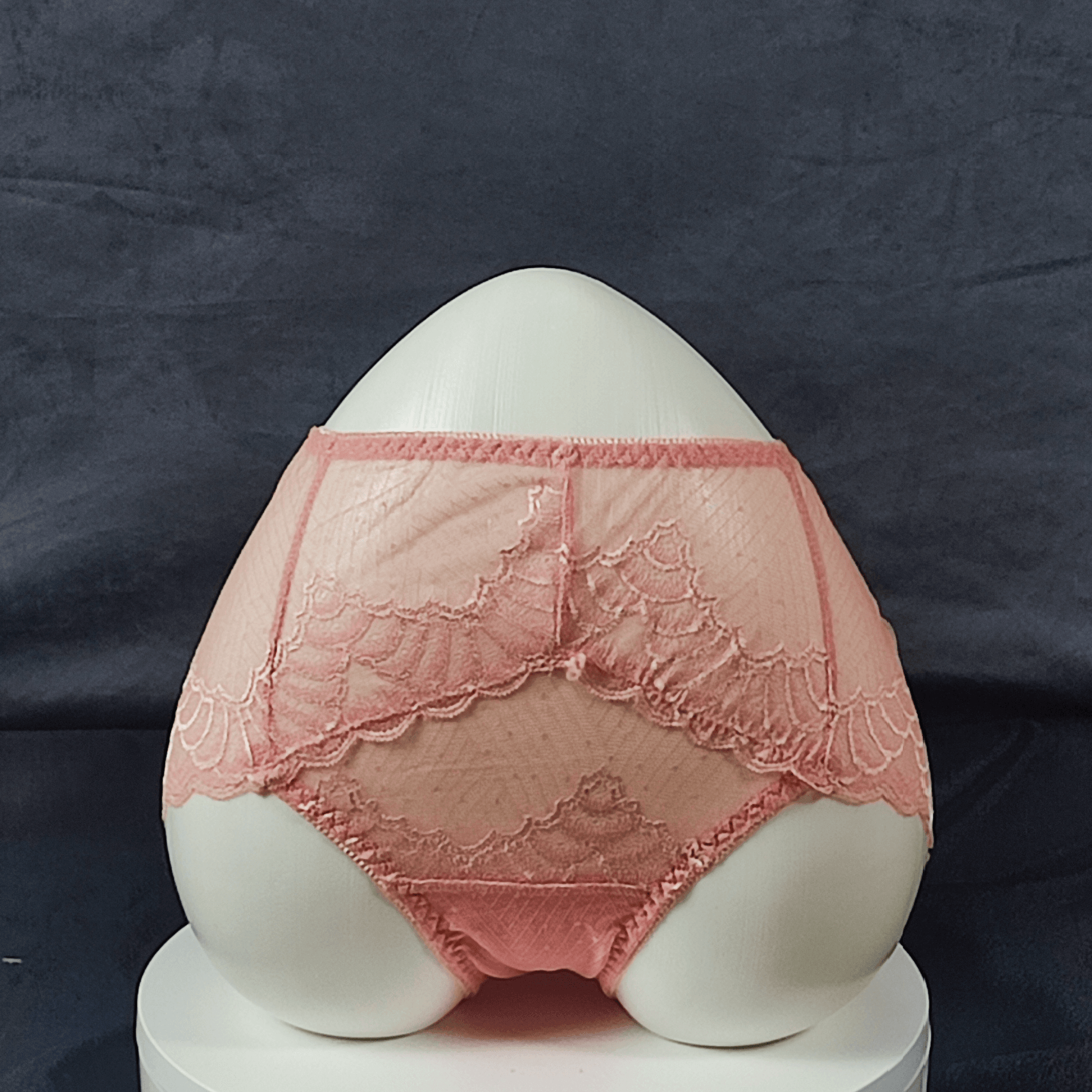 Pack of 5 - LaceWhisper Panties (Random Colors)