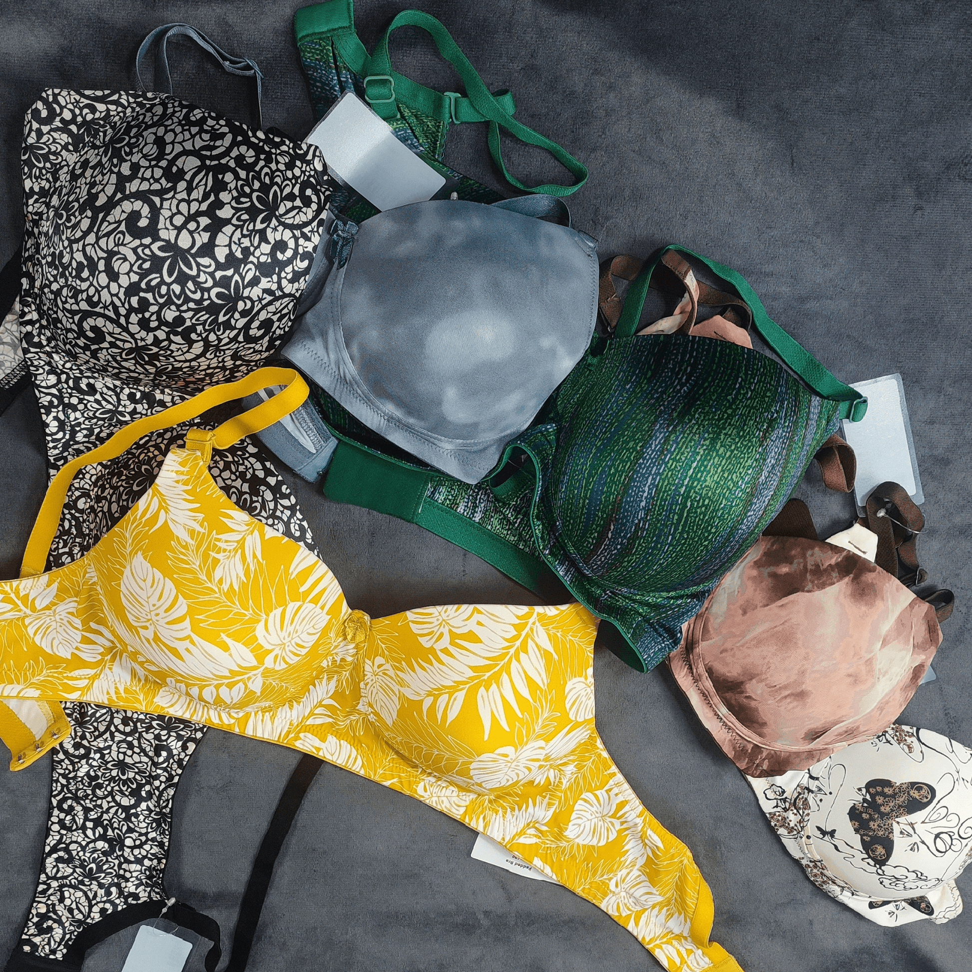 Forest Glow Padded Bra - Bra - ComfyBliss