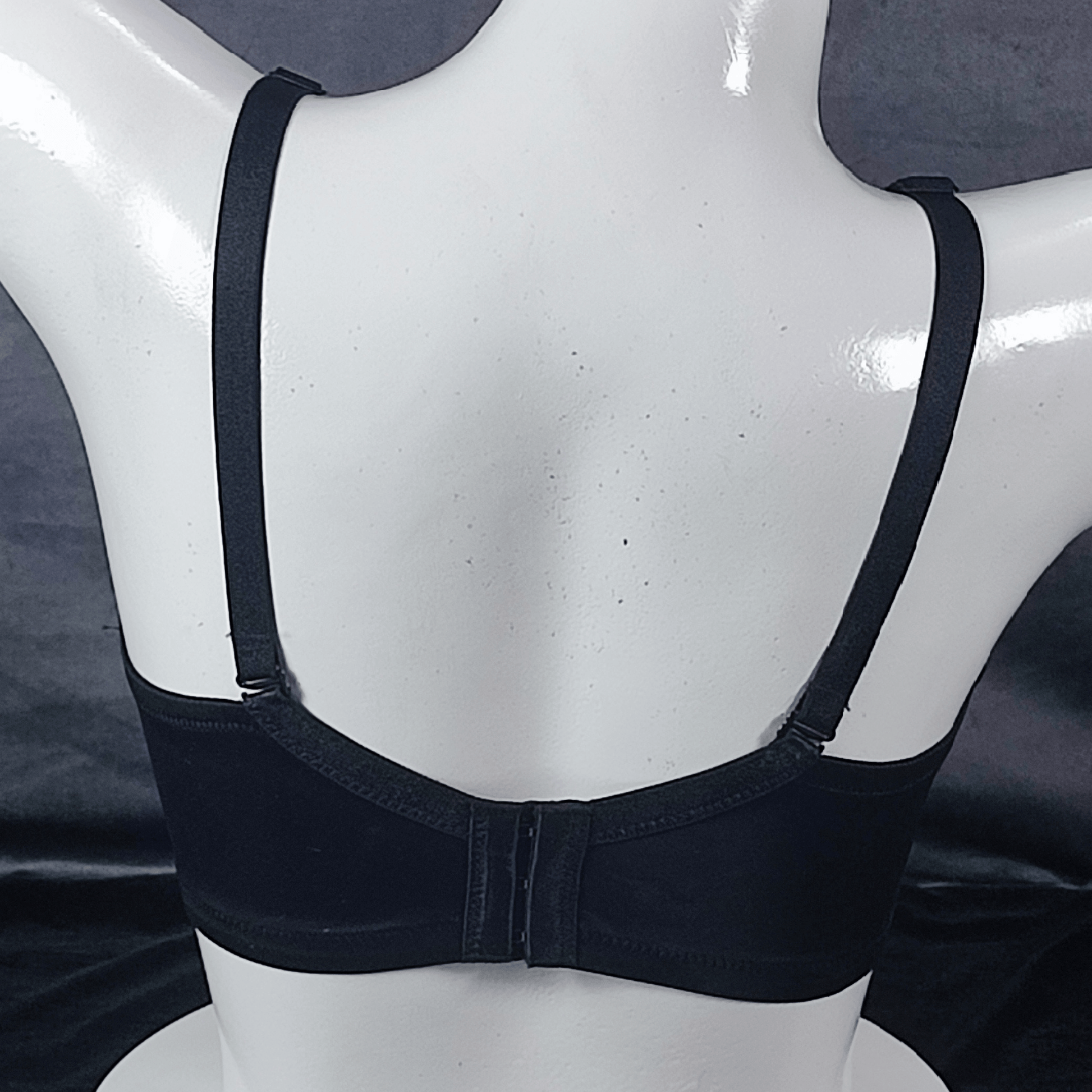 Lace Elegance Padded Bra (Midnight Seduction) - Bra - ComfyBliss